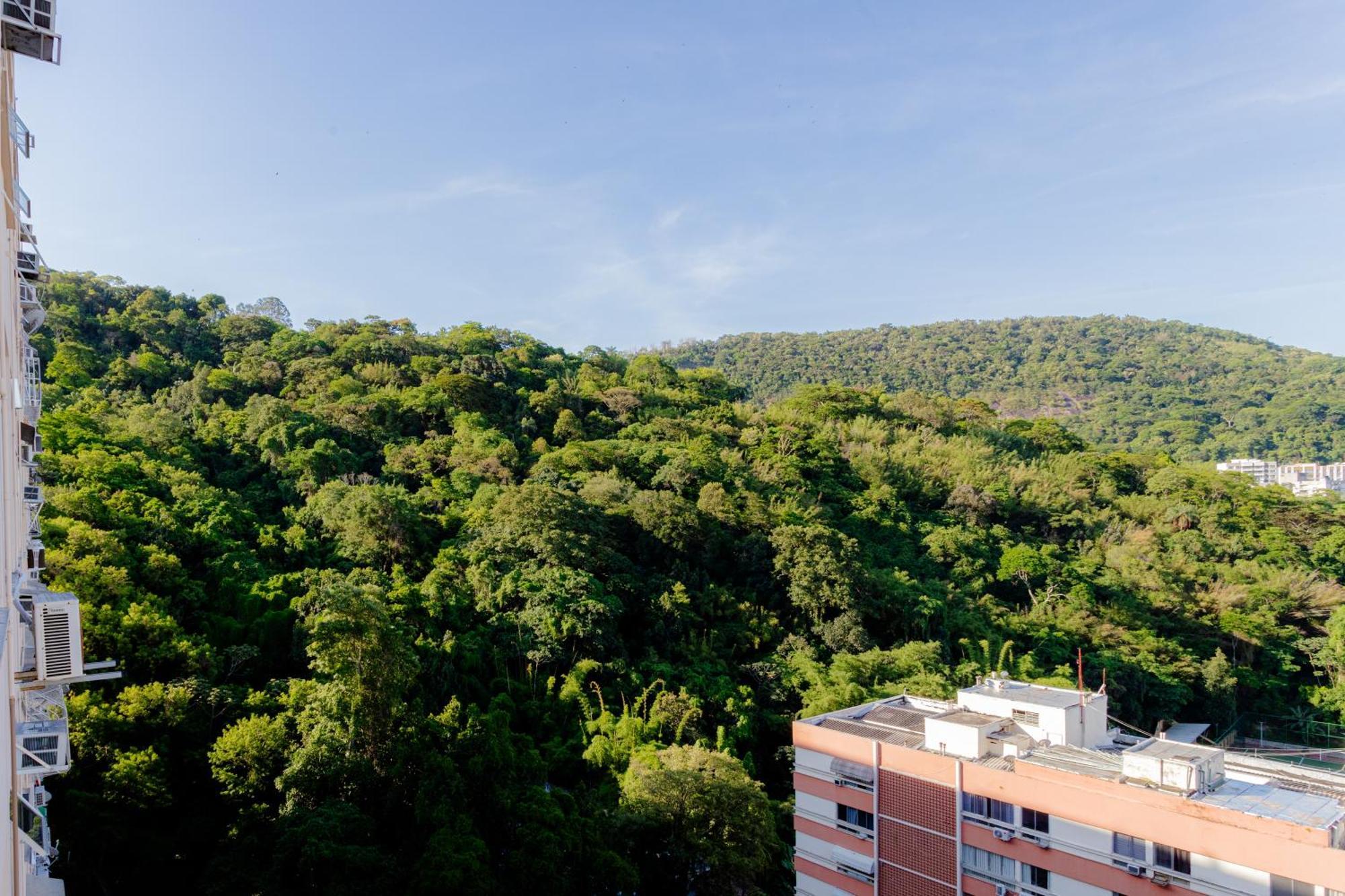 Suh Laranjeiras 01 Montain View Lejlighed Rio de Janeiro Eksteriør billede